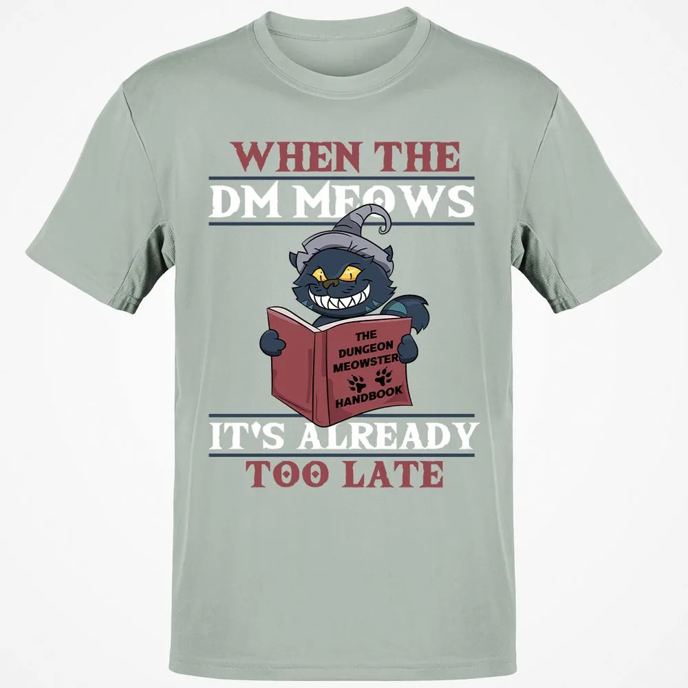 When The DM Meow T-Shirt - Ash - 2