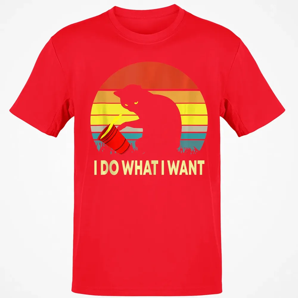 Vintage Sunset I Do What I Want Cat Classic Unisex T-Shirt - 11