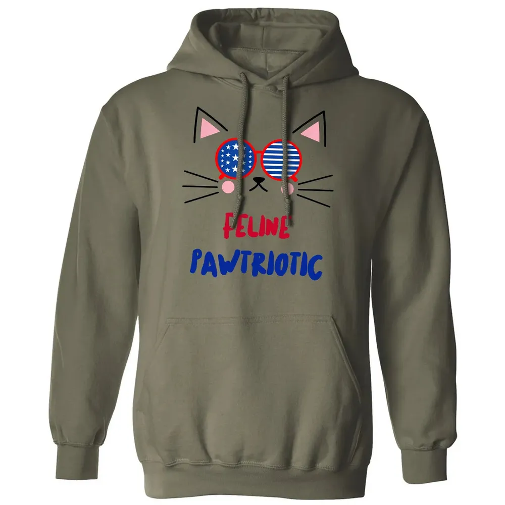 Feline Pawtriotic Classic Unisex Hoodie - 4