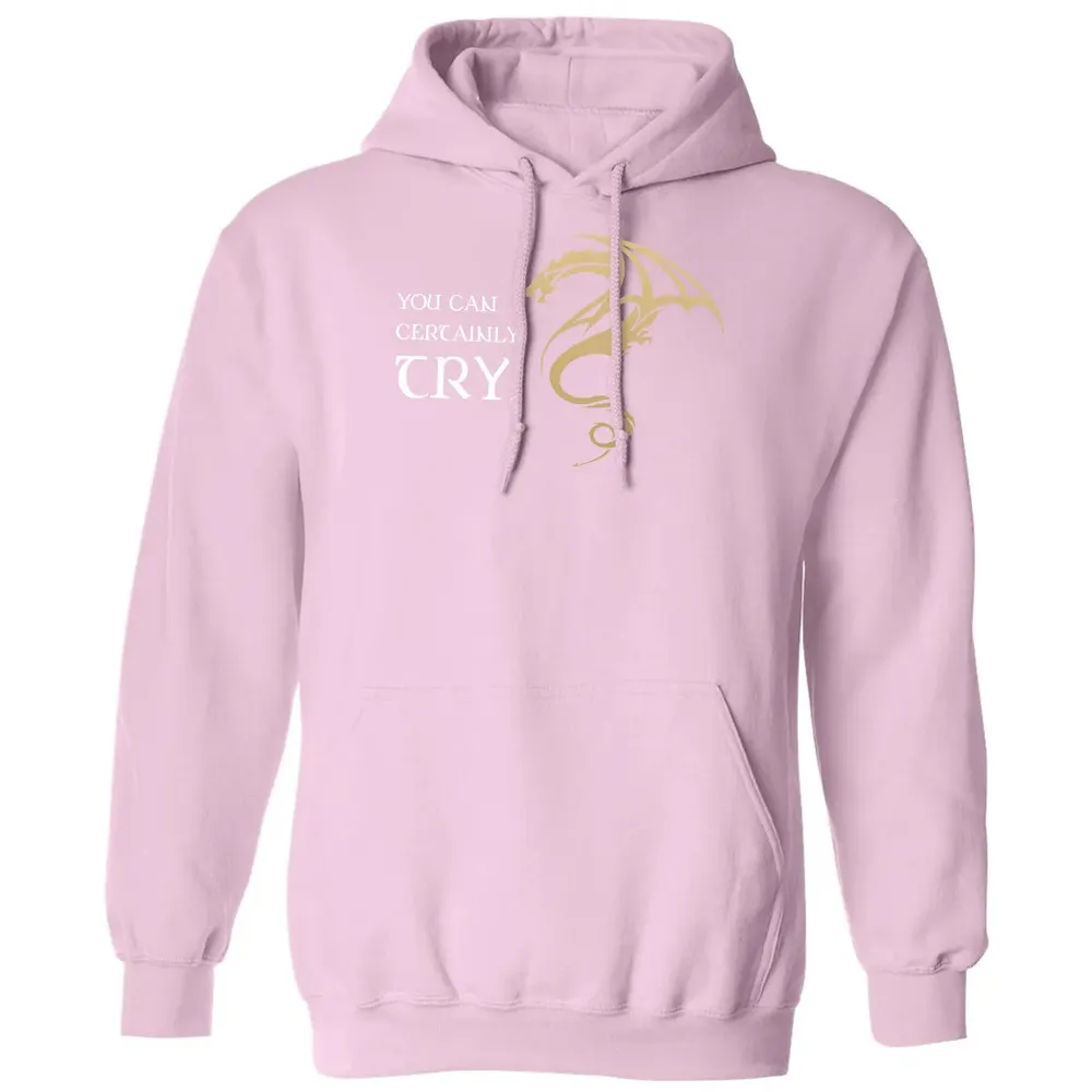 You Can Certainly Try Classic Unisex Hoodie - 3