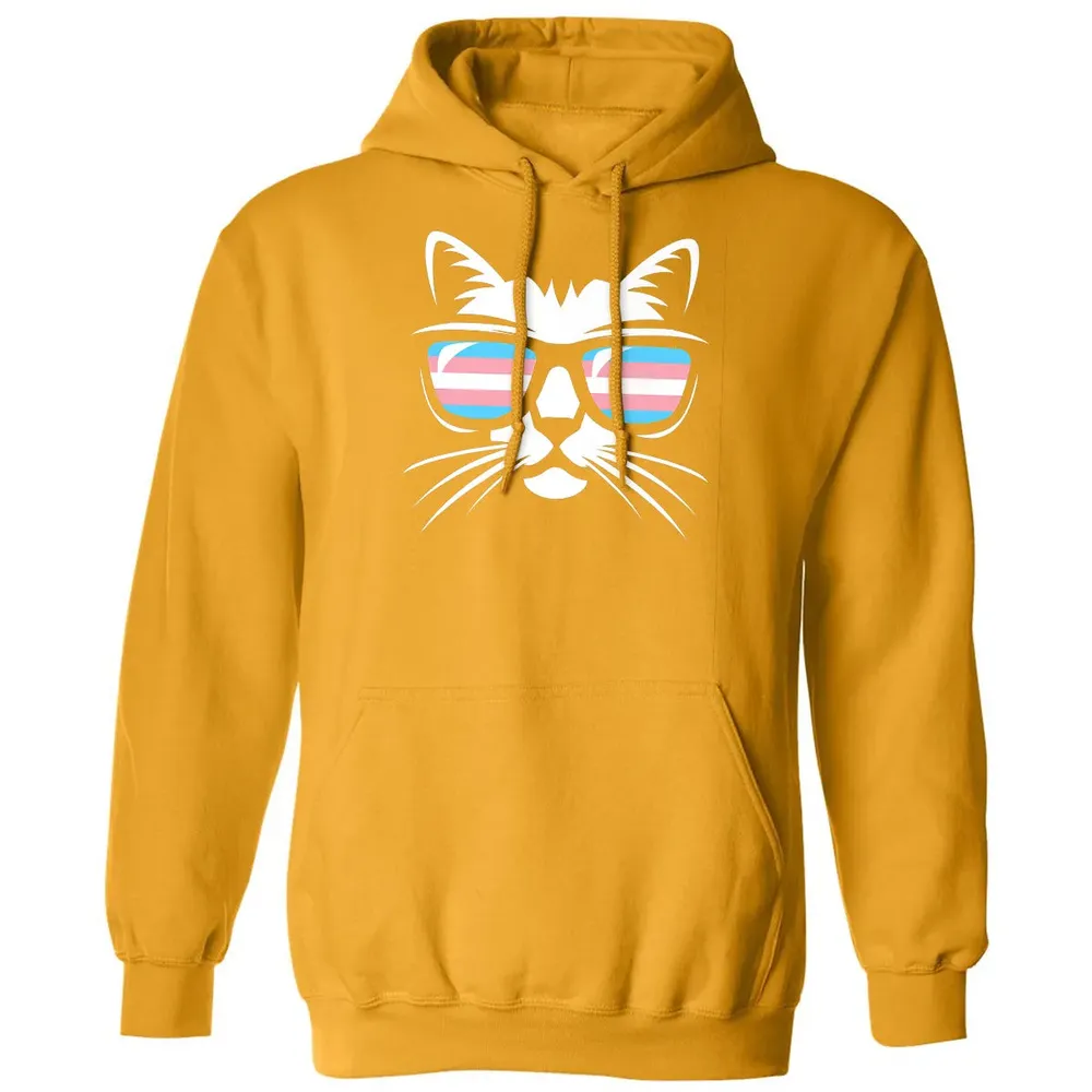 Transgender Pride Cat Gift  Support Trans Community Classic Unisex Hoodie - 12