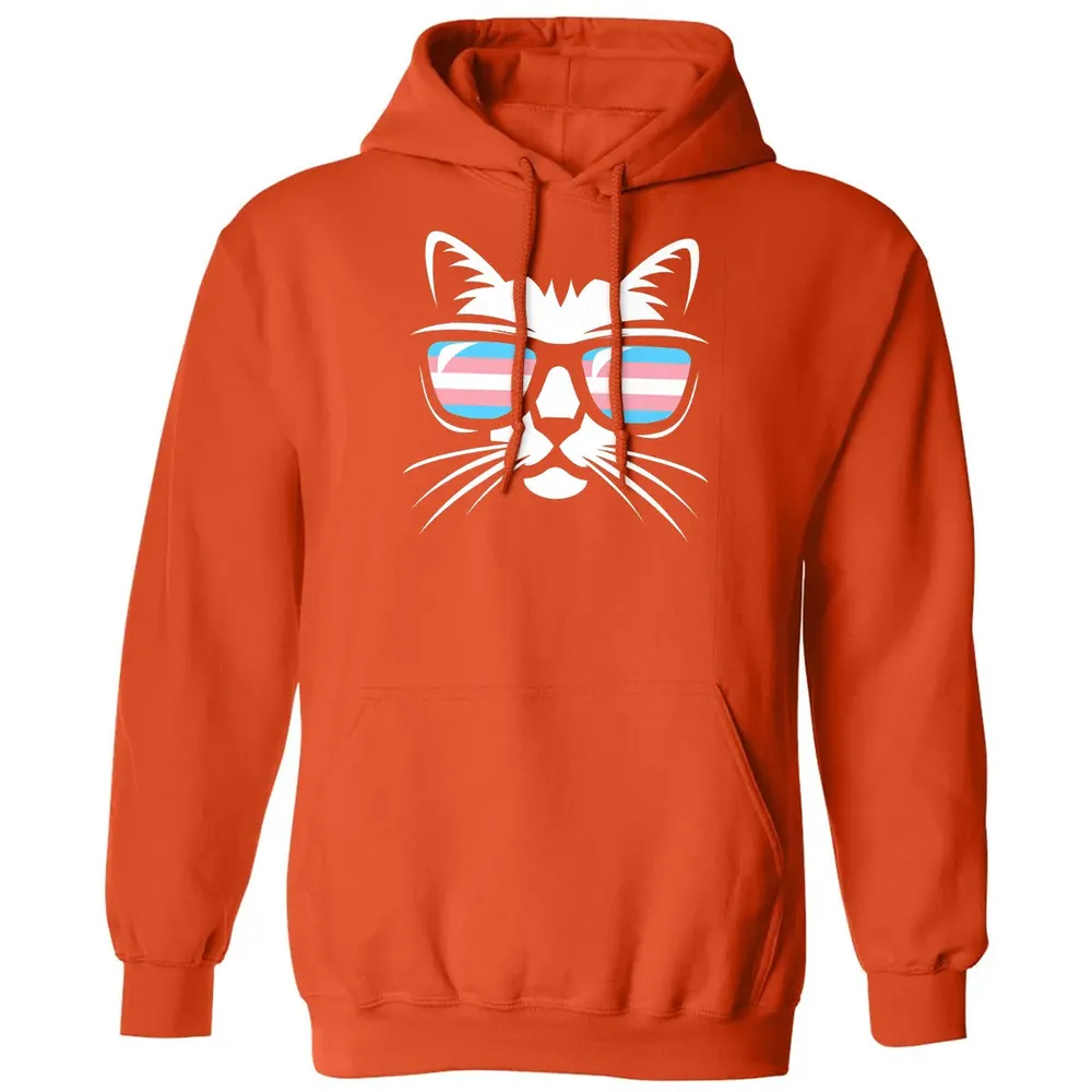 Transgender Pride Cat Gift  Support Trans Community Classic Unisex Hoodie - 10
