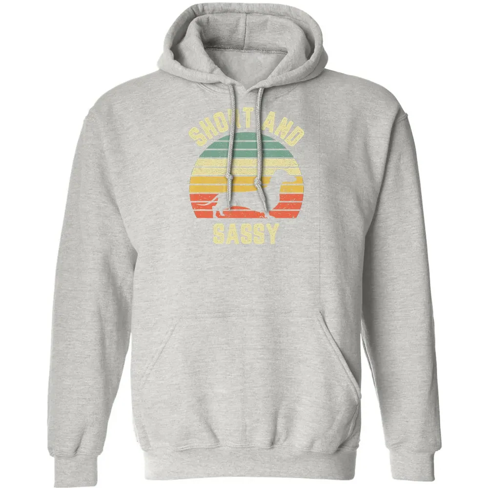 Vintage Dachshund  Funny Weiner Dog Short Sassy T Classic Unisex Hoodie - 8