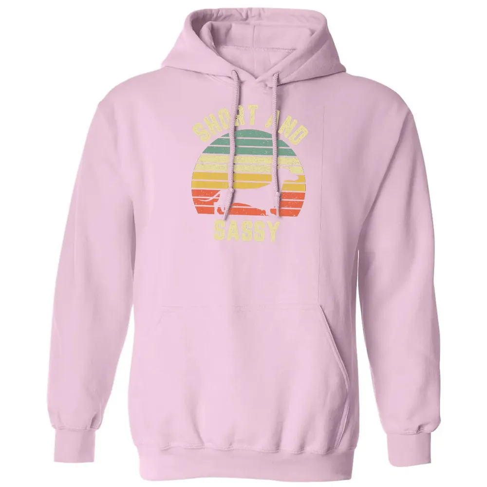 Vintage Dachshund  Funny Weiner Dog Short Sassy T Classic Unisex Hoodie - 3