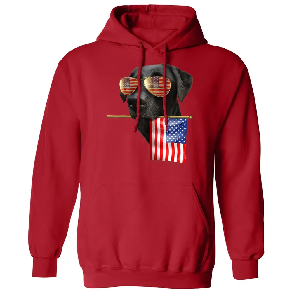 4th of July  Fun American Flag Labrador Dog Lover Gift Classic Unisex Hoodie - 5