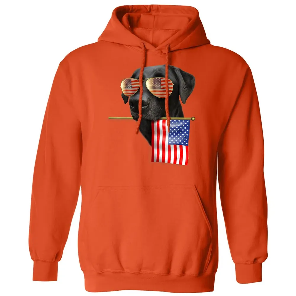 4th of July  Fun American Flag Labrador Dog Lover Gift Classic Unisex Hoodie - 10