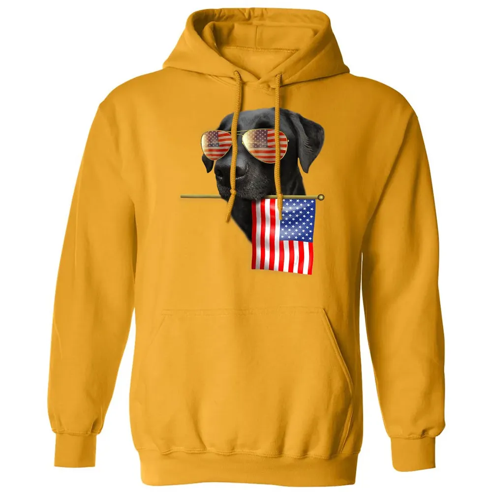 4th of July  Fun American Flag Labrador Dog Lover Gift Classic Unisex Hoodie - 12
