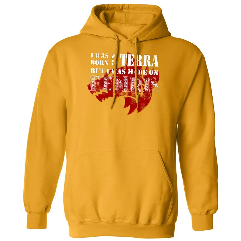Born Terra Classic Unisex Hoodie - 12