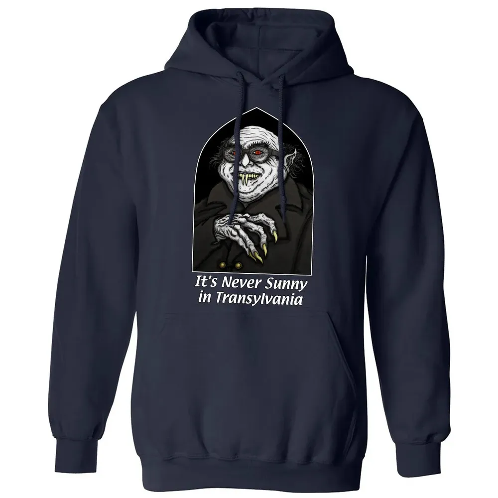 Never Sunny In Transylvania Classic Unisex Hoodie - 2