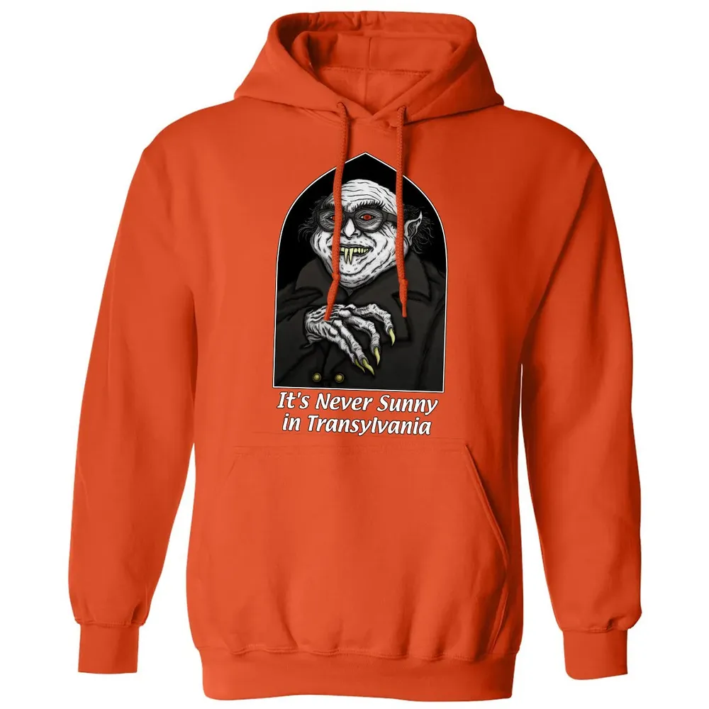 Never Sunny In Transylvania Classic Unisex Hoodie - 10