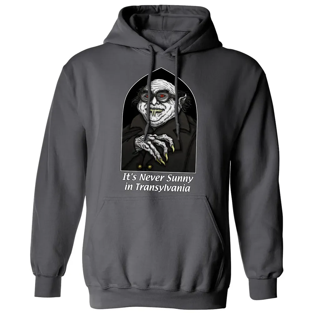 Never Sunny In Transylvania Classic Unisex Hoodie - 7