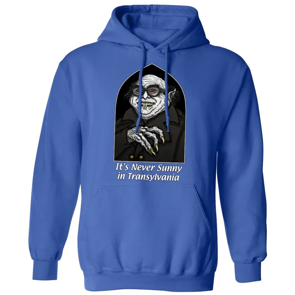 Never Sunny In Transylvania Classic Unisex Hoodie - 9