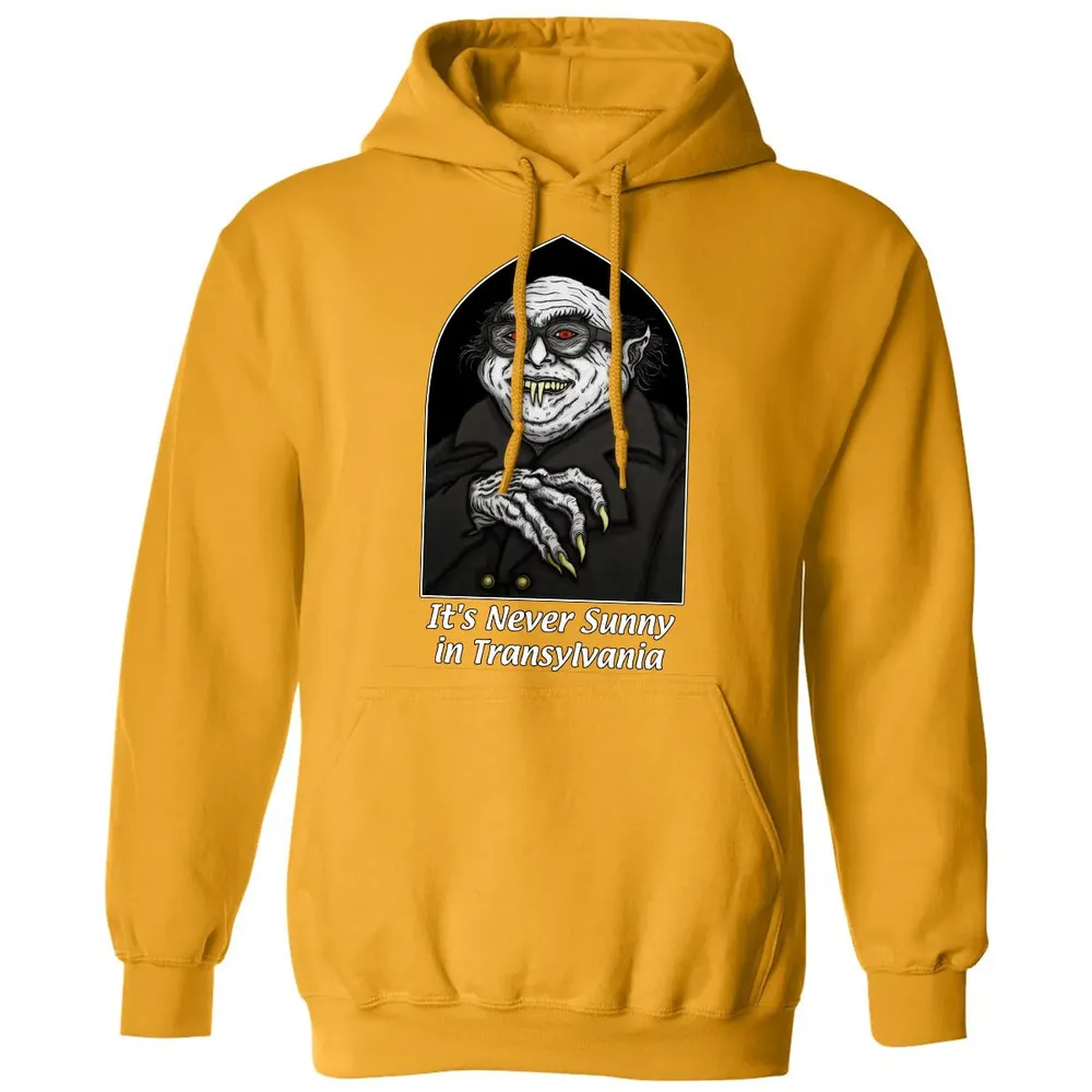 Never Sunny In Transylvania Classic Unisex Hoodie - 12