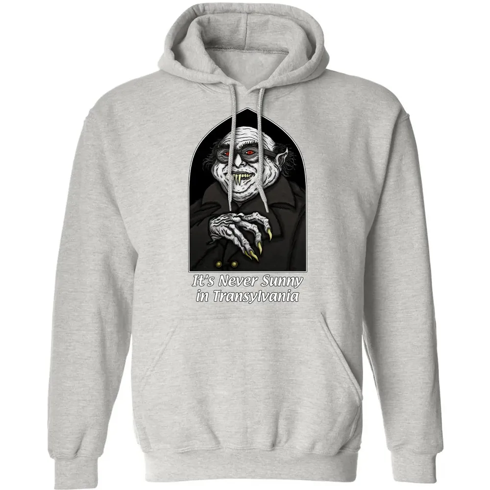 Never Sunny In Transylvania Classic Unisex Hoodie - 8