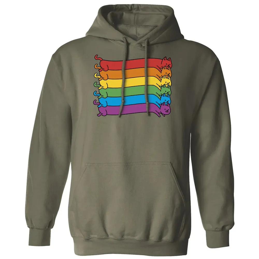 Rainbow Cats Pride Flag Classic Unisex Hoodie - 4