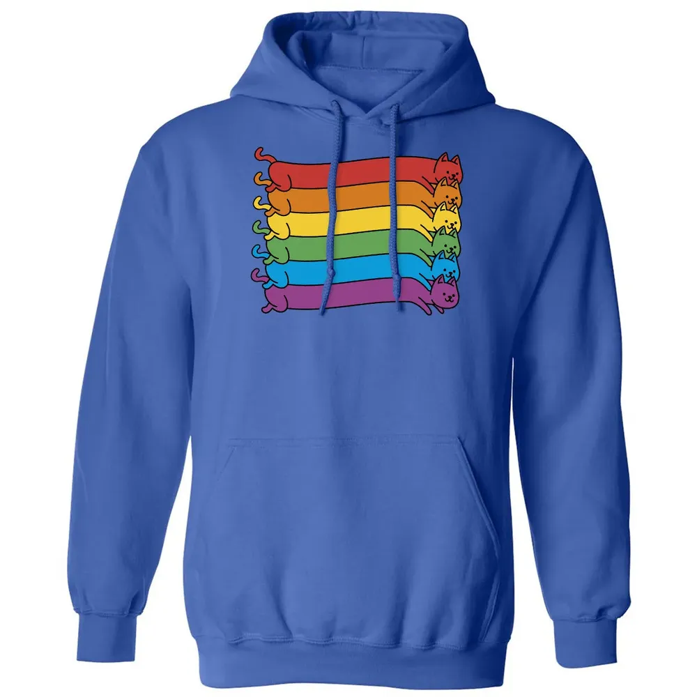 Rainbow Cats Pride Flag Classic Unisex Hoodie - 9