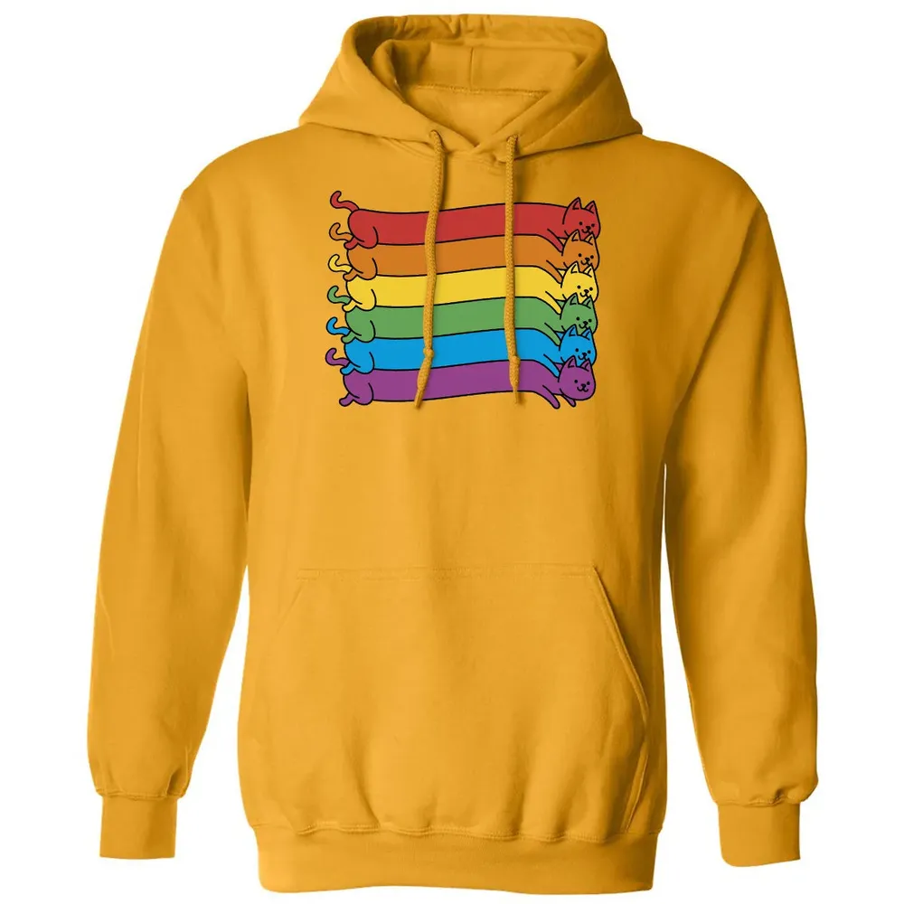 Rainbow Cats Pride Flag Classic Unisex Hoodie - 12