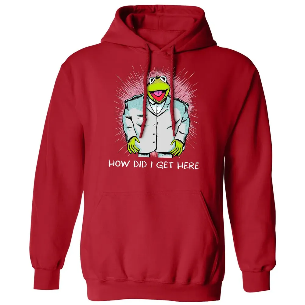 How Did I Get Here Classic Unisex Hoodie - 5