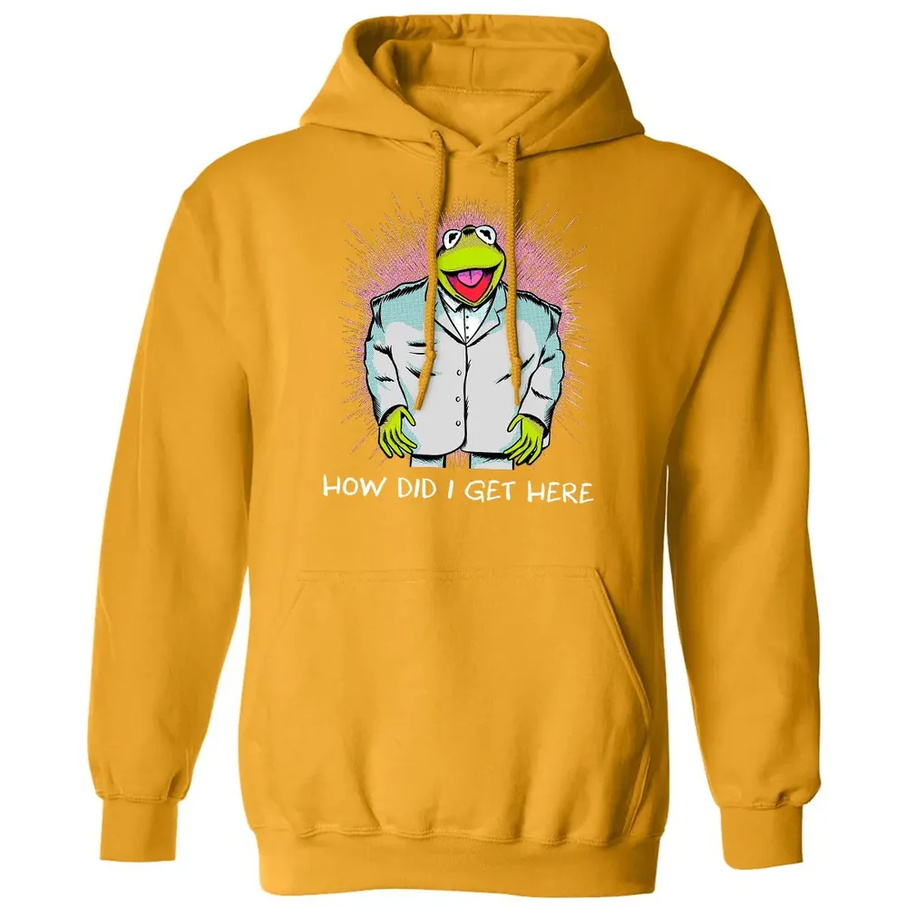 How Did I Get Here Classic Unisex Hoodie - 12