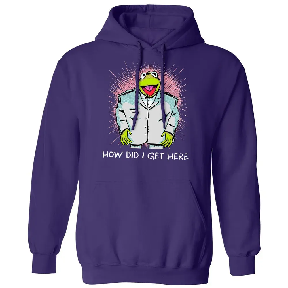How Did I Get Here Classic Unisex Hoodie - 6