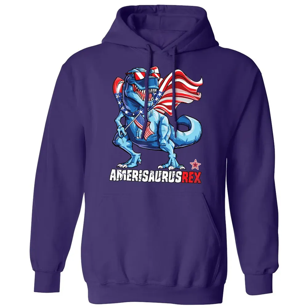 Dinosaur 4th of July  Kids Boys Men Amerisaurus T Rex Classic Unisex Hoodie - 6