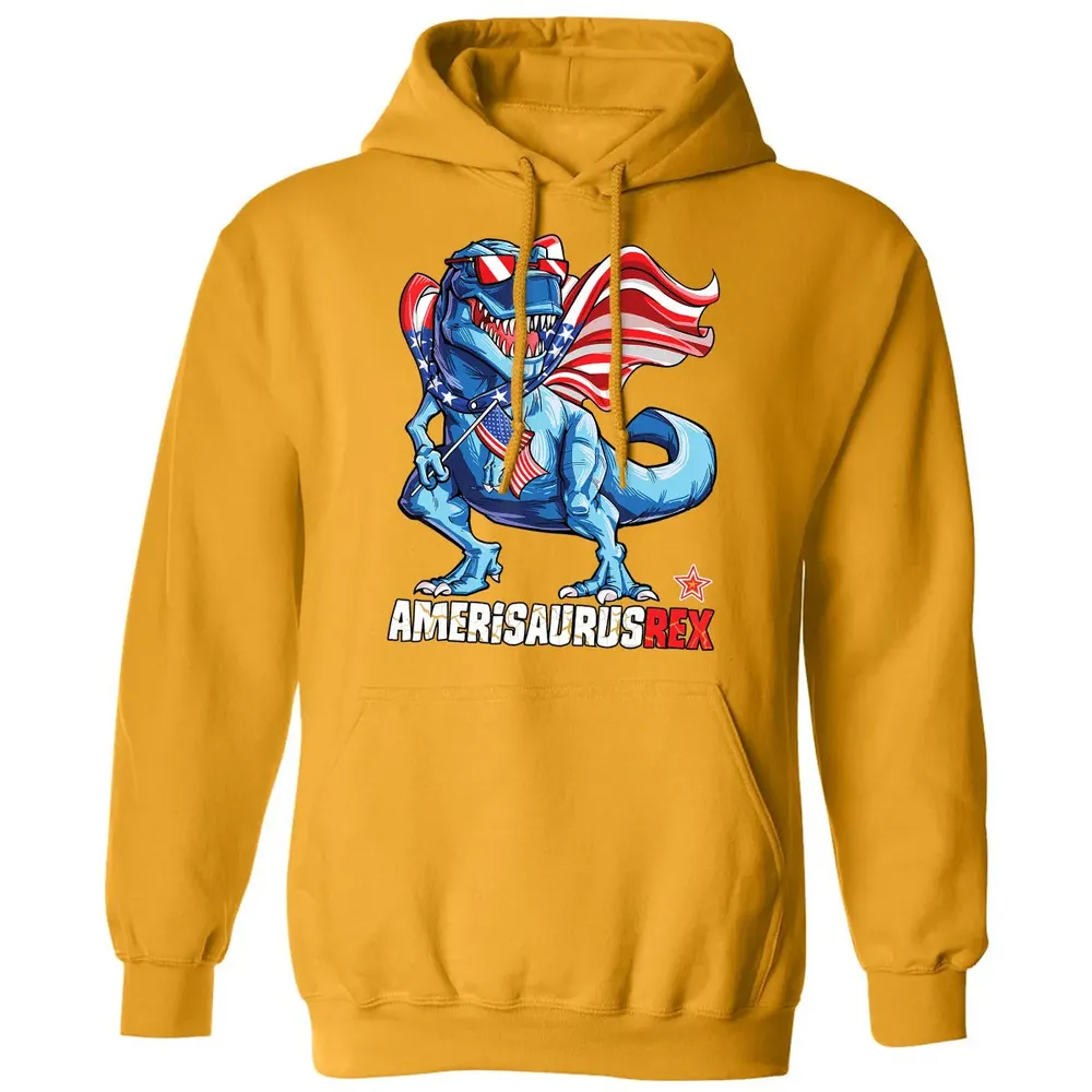 Dinosaur 4th of July  Kids Boys Men Amerisaurus T Rex Classic Unisex Hoodie - 12