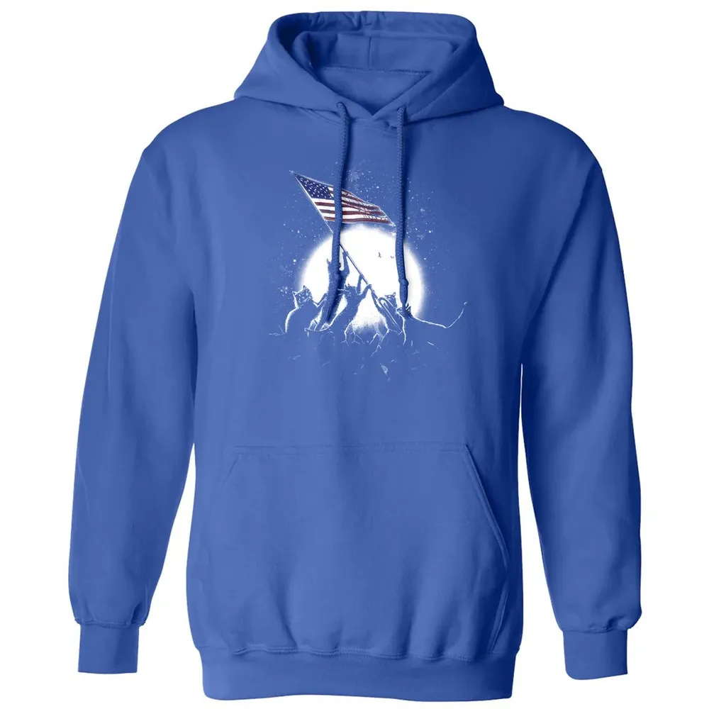 CATS AMERICAN FLAG Classic Unisex Hoodie - 9