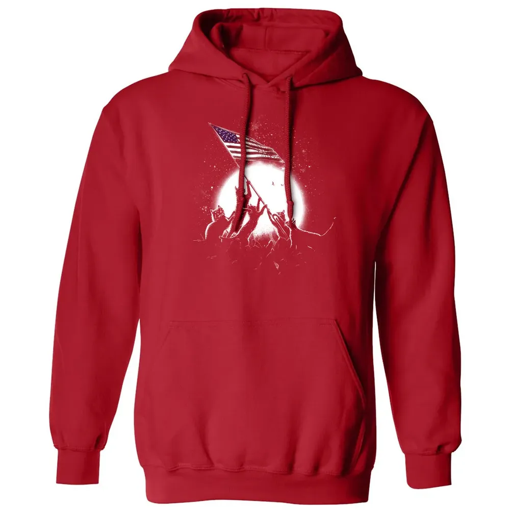CATS AMERICAN FLAG Classic Unisex Hoodie - 5