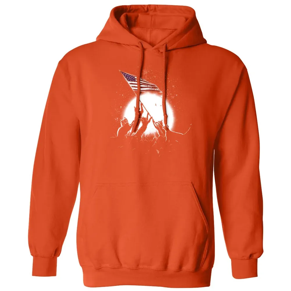 CATS AMERICAN FLAG Classic Unisex Hoodie - 10