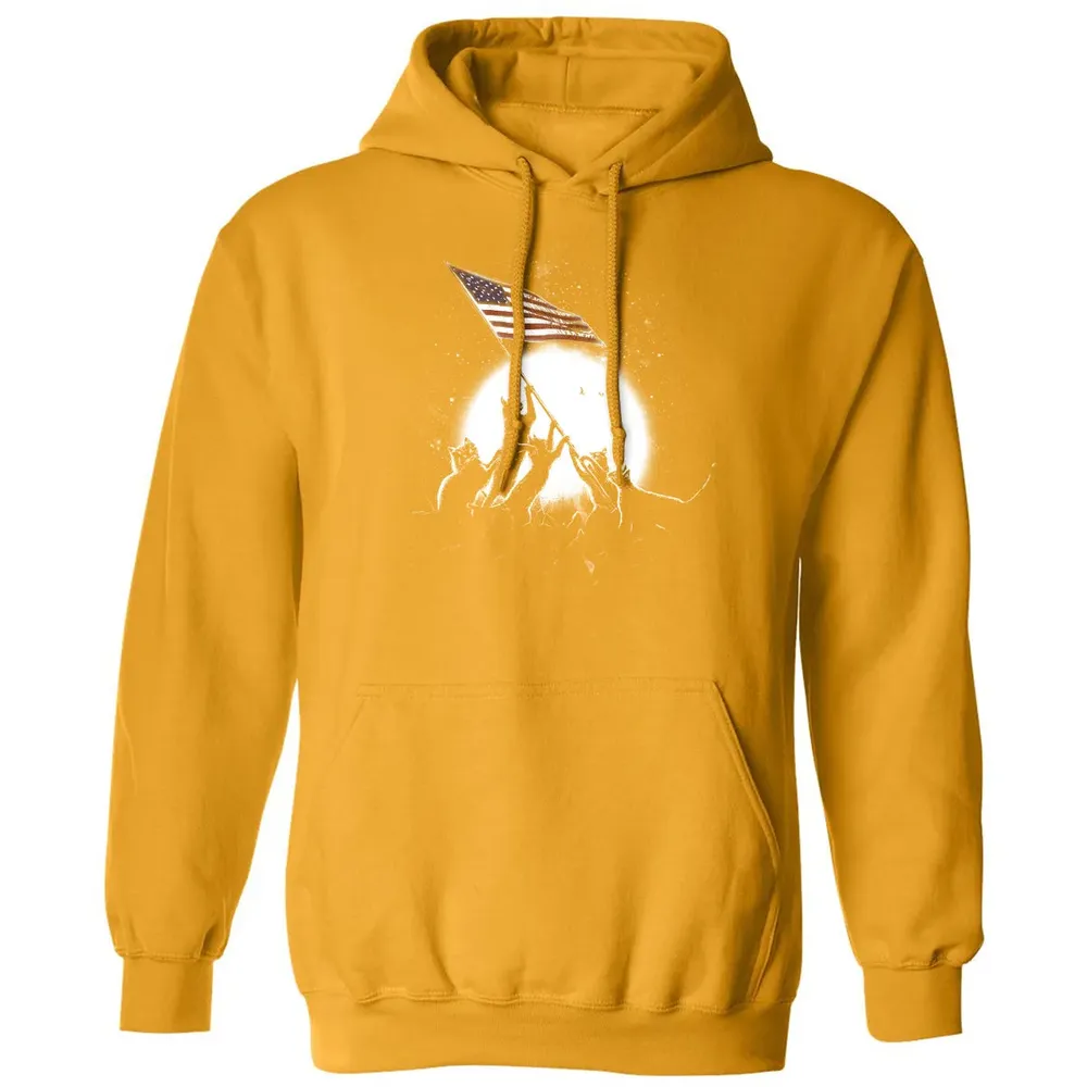 CATS AMERICAN FLAG Classic Unisex Hoodie - 12