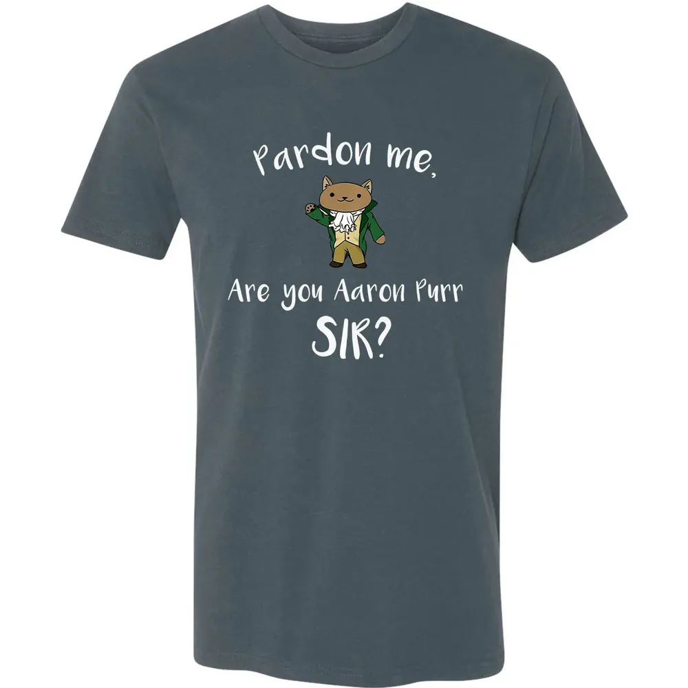 Are you Aaron Purr Sir Funny Cat Hoodie Hooded Sweat Premium Unisex T-shirt - 14