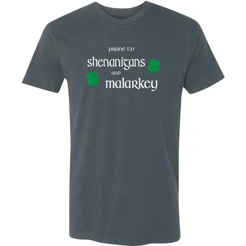 Prone To Shenanigans And Malarkey Funny Irish Pride Premium Unisex T-shirt - 14