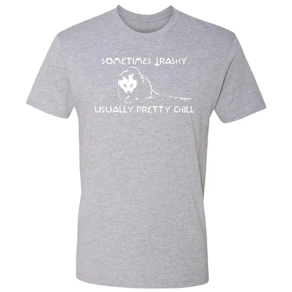 Sometimes Trashy Usually Pretty Chill Premium Unisex T-shirt - 9