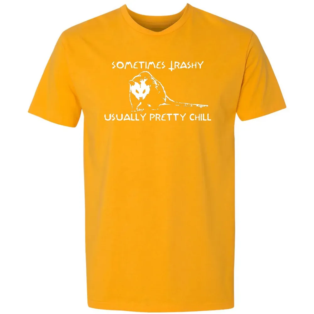 Sometimes Trashy Usually Pretty Chill Premium Unisex T-shirt - 11