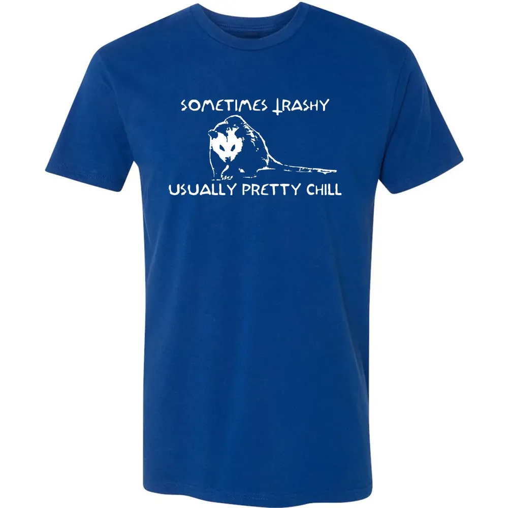 Sometimes Trashy Usually Pretty Chill Premium Unisex T-shirt - 10