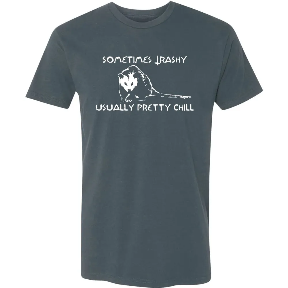 Sometimes Trashy Usually Pretty Chill Premium Unisex T-shirt - 14