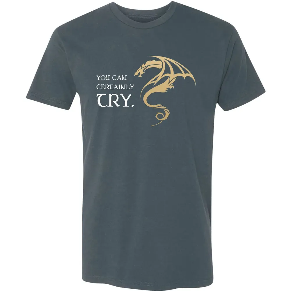 You Can Certainly Try Premium Unisex T-shirt - 14