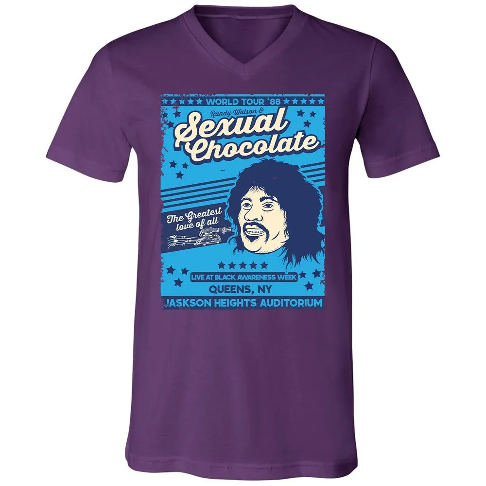 Unisex V-Neck T-Shirt - YM7GA5E7 - Team Purple - 9