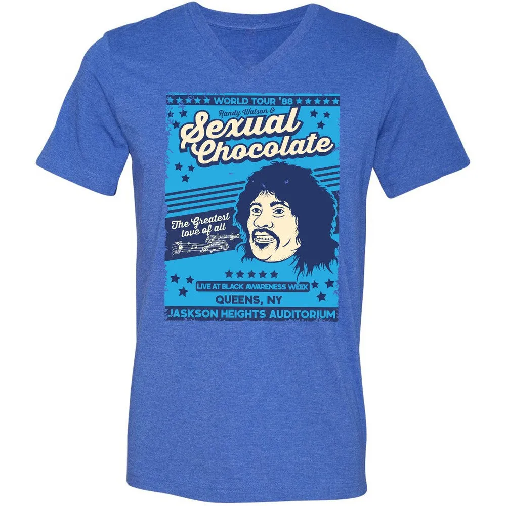 Unisex V-Neck T-Shirt - YM7GA5E7 - Heather True Royal - 14