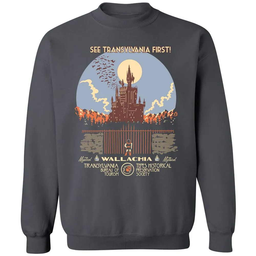 Classic Unisex Sweatshirt - T9B4YLAE - Charcoal - 7