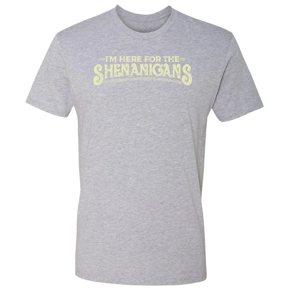Here For The Shenanigans Premium Unisex T-Shirt - Heather Grey - 9
