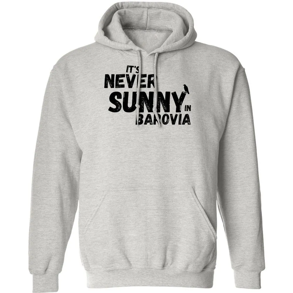 It's Never Sunny In Barovia Classic Unisex Hoodie - Ash - 2