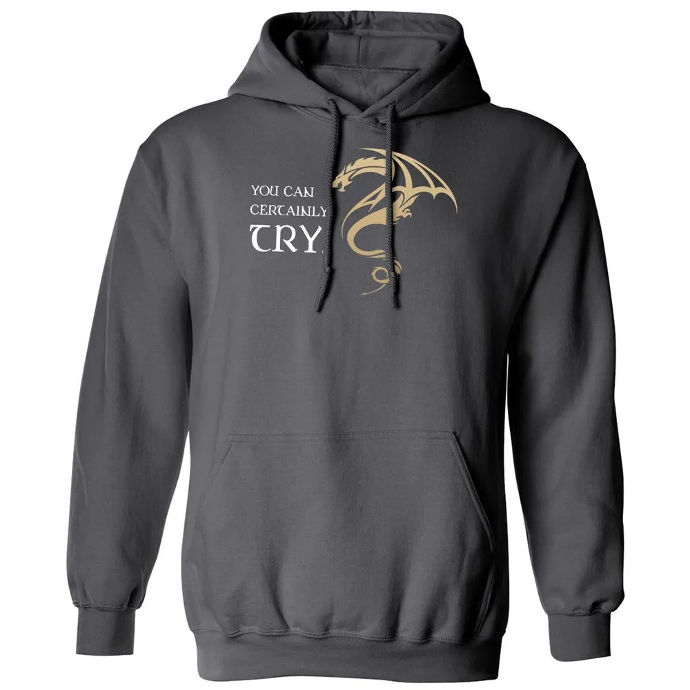 You Can Certainly Try Classic Unisex Hoodie - Charcoal - 7