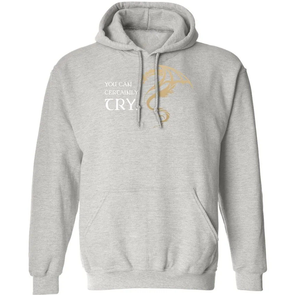 You Can Certainly Try Classic Unisex Hoodie - Ash - 8