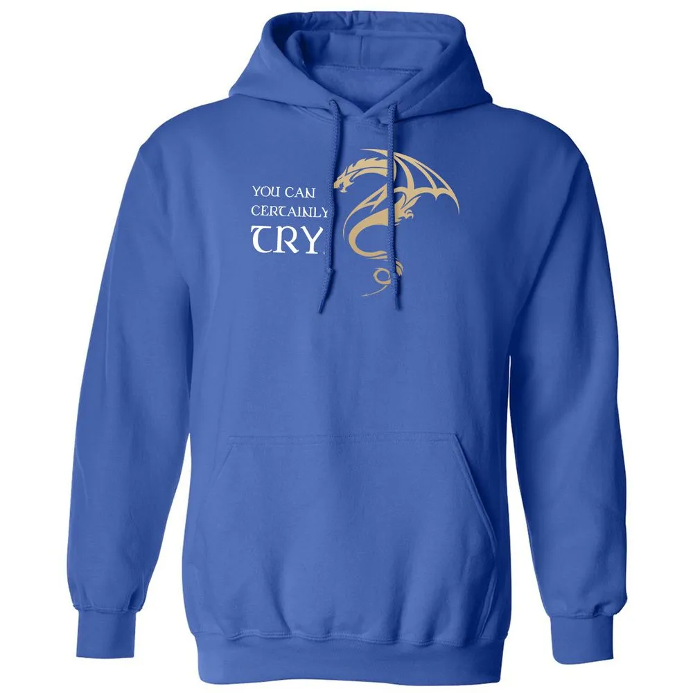 You Can Certainly Try Classic Unisex Hoodie - Royal - 9