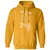 20 Sides to Every Story Classic Unisex Hoodie - Gold - 12