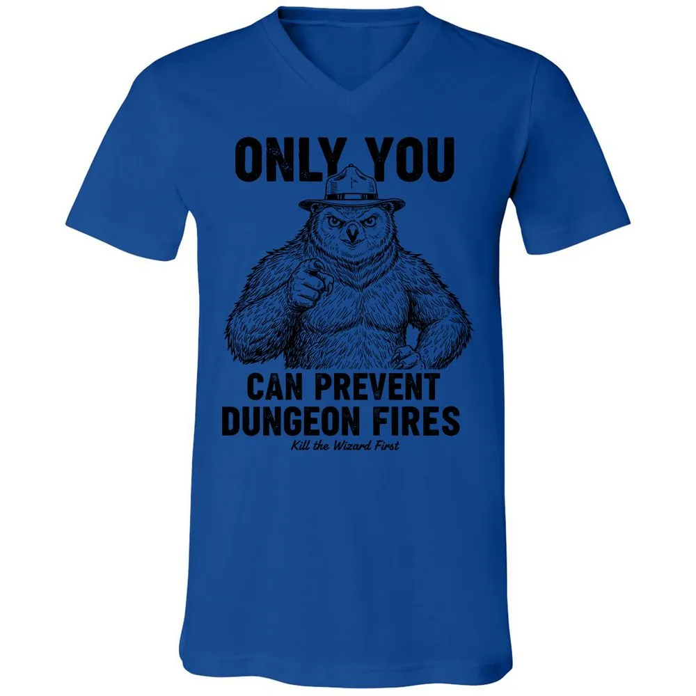 Only You Can Prevent Dungeon Fires - True Royal - 4