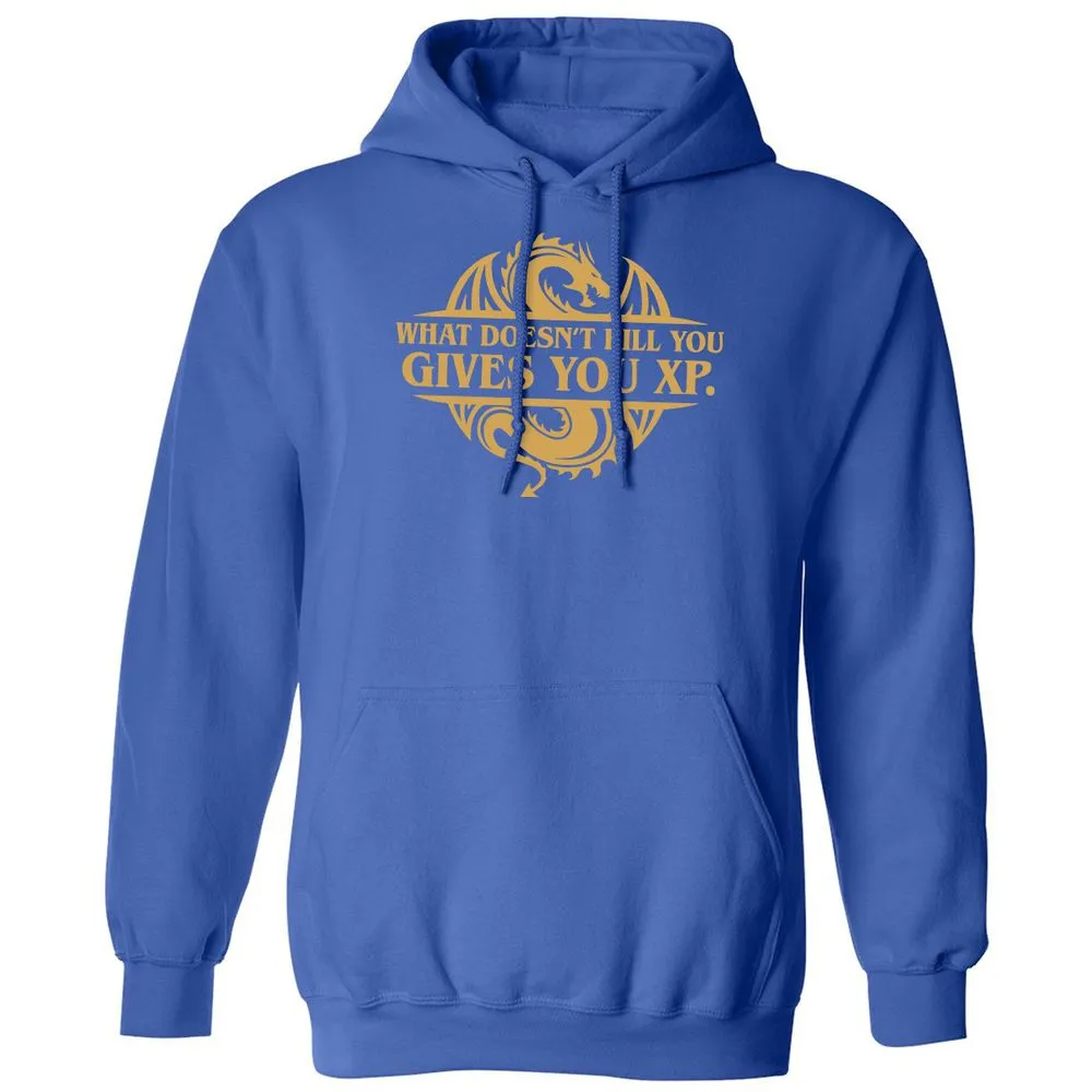 What Doesn't Kill You Gives You XP Classic Unisex Hoodie - Royal - 9