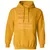 Artist Stats Classic Unisex Hoodie - Gold - 12