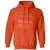 Biologist Stats Classic Unisex Hoodie - Orange - 10